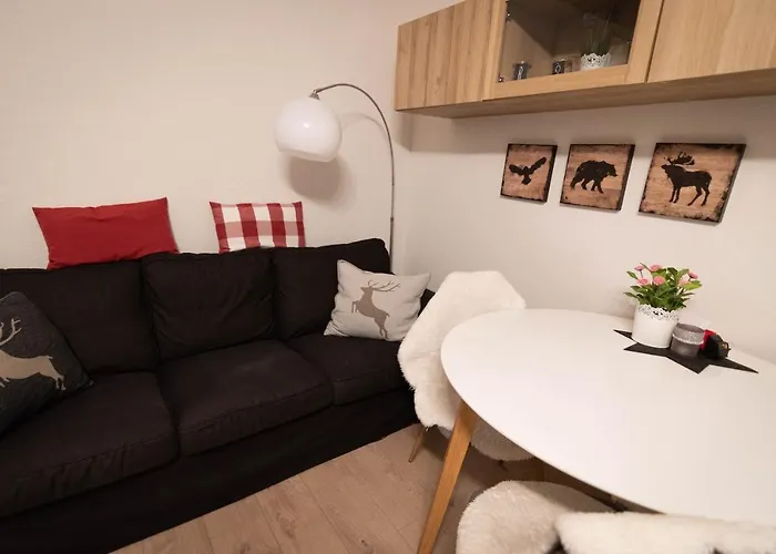 公寓 Heimelig Im Hirschen App 118 *